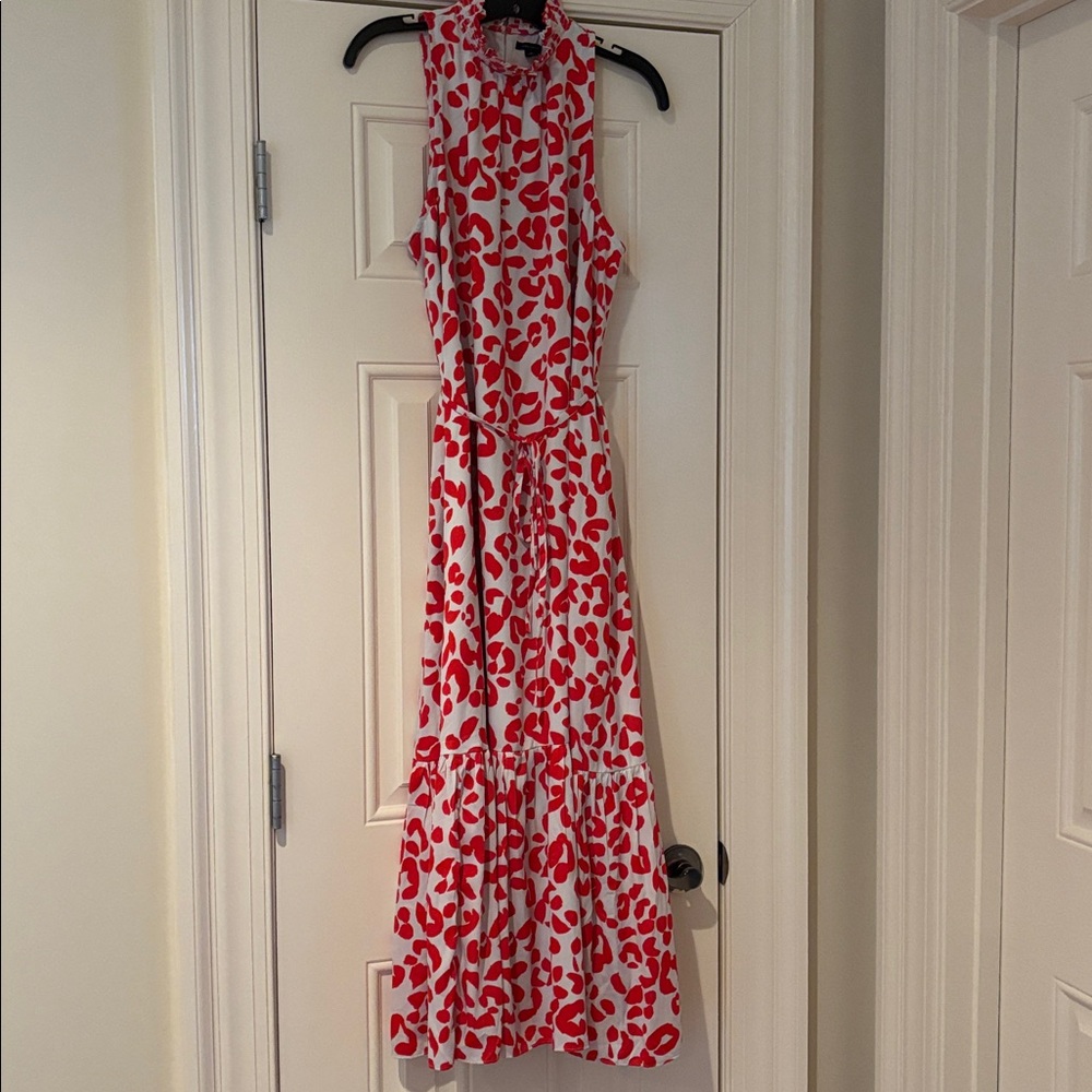 Ann Taylor Red and White Patterned Maxi Dress
